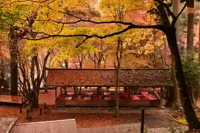 神護寺(京都府)