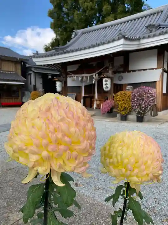 水堂須佐男神社の自然
