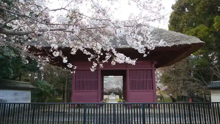 薬王院の山門・神門