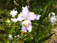 大安禅寺(福井県)