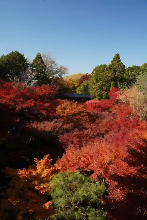 東福禅寺(東福寺)(京都府)