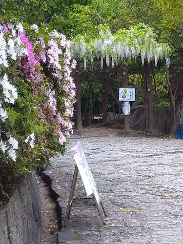 阿智神社の自然