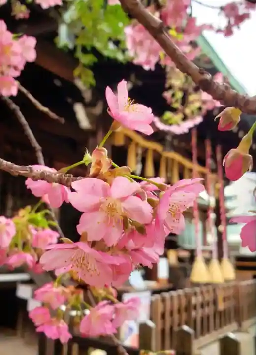 新宿下落合氷川神社(東京都)