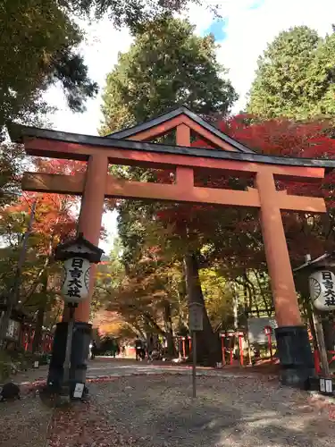 日吉大社の鳥居