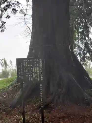 那須神社の自然