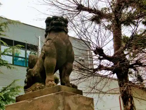 草加神社の狛犬