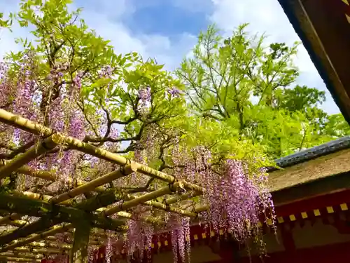 春日大社の庭園