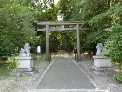 若狭彦神社（上社）の鳥居