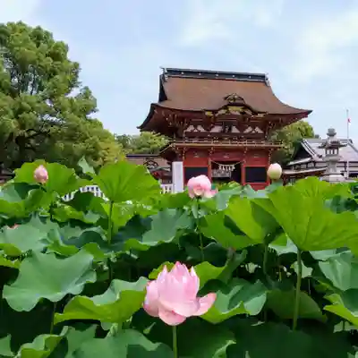 伊賀八幡宮(愛知県)