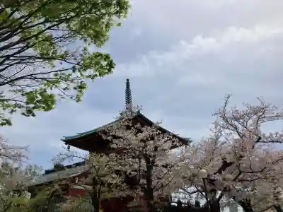 孝道山の{uncategorized: "未分類", other: "その他", undefined: "問題あり", building: "その他建物", grave: "お墓", sacred_gate: "鳥居", guardian: "狛犬", statue: "像", buddha: "仏像", history: "歴史", nature: "自然", garden: "庭園", animal: "動物", pagoda: "塔", temizu: "手水舎", mountain_gate: "山門・神門", sanctuary: "本殿・本堂", subordinate: "末社・摂社", art: "芸術", scenery: "景色", jizo: "地蔵", ema: "絵馬", goshuin: "御朱印", omikuji: "おみくじ", items: "授与品その他", amulet: "お守り", goshuincho: "御朱印帳", eats: "食事", festival: "お祭り", votive_dance: "神楽", shichigosan: "七五三参", wedding: "結婚式", experience: "体験その他", initially: "初詣", around: "周辺", anti_infection: "感染症対策"}