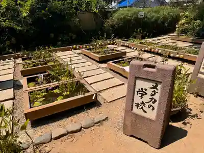 おふさ観音（観音寺）(奈良県)