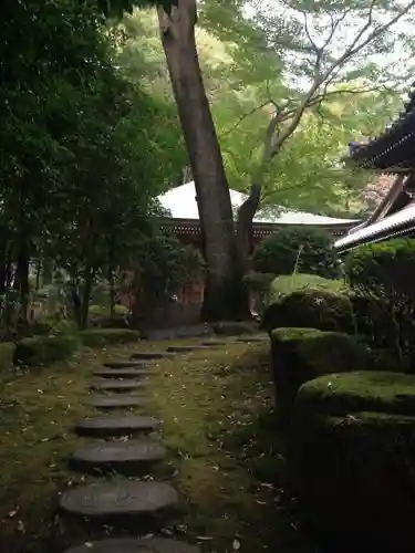 安養院の庭園