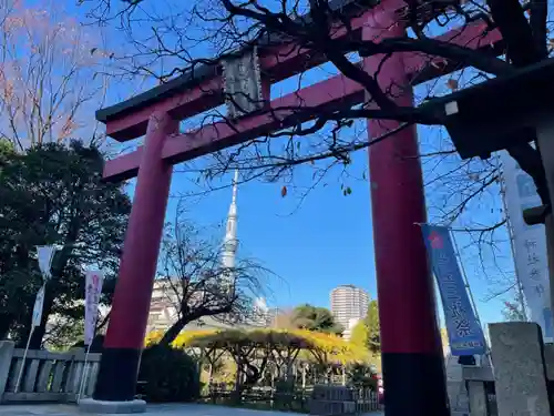 亀戸天神社の鳥居