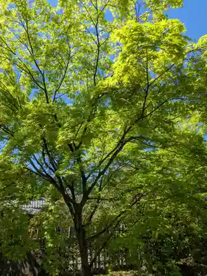 大法院(京都府)