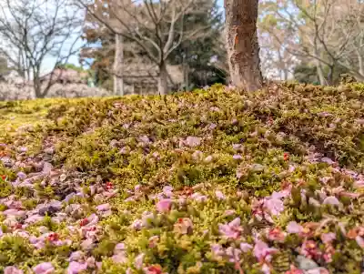 城南宮の{uncategorized: "未分類", other: "その他", undefined: "問題あり", building: "その他建物", grave: "お墓", sacred_gate: "鳥居", guardian: "狛犬", statue: "像", buddha: "仏像", history: "歴史", nature: "自然", garden: "庭園", animal: "動物", pagoda: "塔", temizu: "手水舎", mountain_gate: "山門・神門", sanctuary: "本殿・本堂", subordinate: "末社・摂社", art: "芸術", scenery: "景色", jizo: "地蔵", ema: "絵馬", goshuin: "御朱印", omikuji: "おみくじ", items: "授与品その他", amulet: "お守り", goshuincho: "御朱印帳", eats: "食事", festival: "お祭り", votive_dance: "神楽", shichigosan: "七五三参", wedding: "結婚式", experience: "体験その他", initially: "初詣", around: "周辺", anti_infection: "感染症対策"}