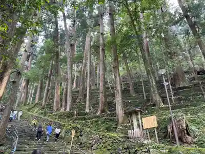 飛瀧神社(熊野那智大社別宮)(和歌山県)