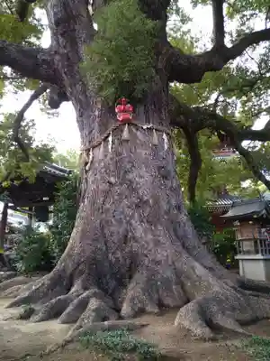 法楽寺(大阪府)