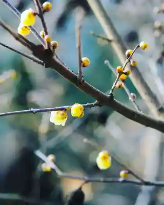 浄土寺(兵庫県)