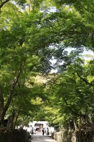 興聖寺（興聖寶林禅寺）(京都府)