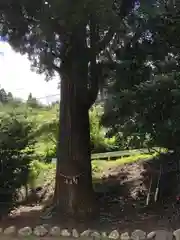 祖母嶽神社の建物その他