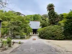 伊勢の国 四天王寺の建物その他