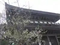 光明寺のその他建物