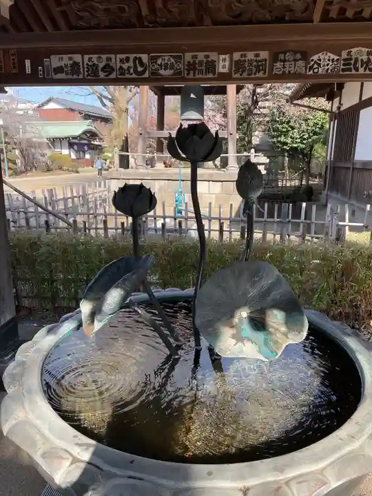 新井薬師(梅照院)(東京都)