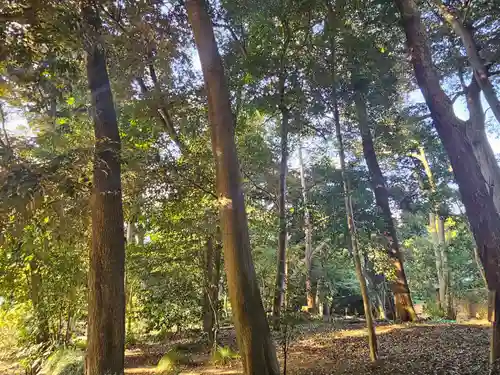 武蔵一宮氷川神社(埼玉県)