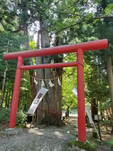 磐椅神社の鳥居