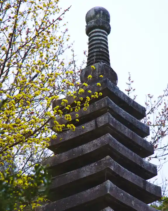 華藏寺(梅澤不動尊) (栃木県)