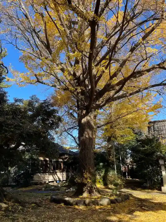 長崎神社(東京都)