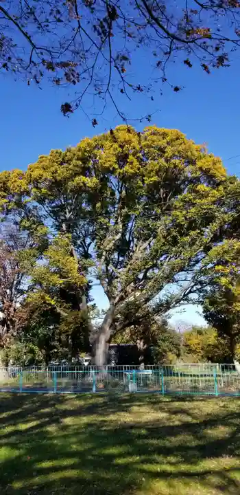 庚申神社(千葉県)