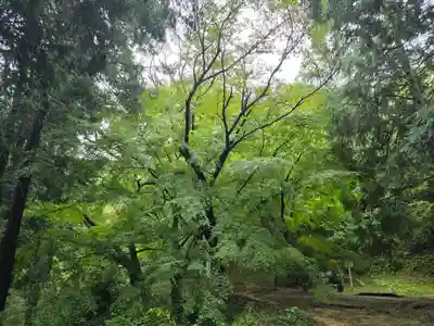 弘川寺(大阪府)