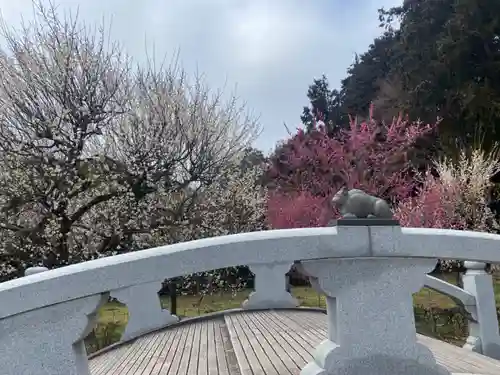 岩津天満宮(愛知県)