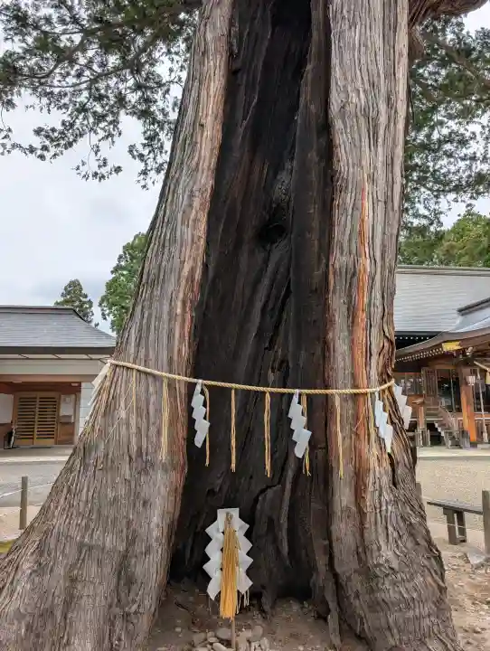 諏訪神社(岩手県)
