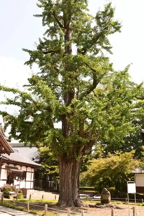 永保寺(岐阜県)