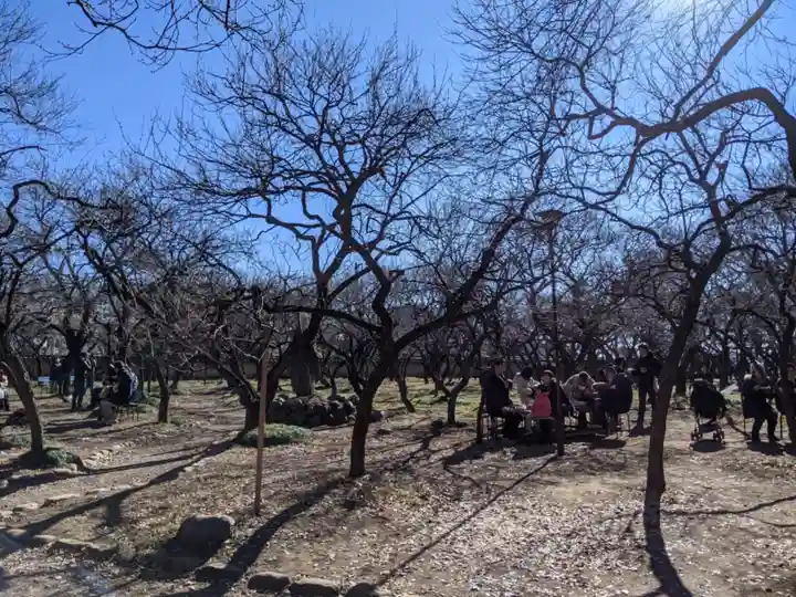 谷保天満宮の庭園