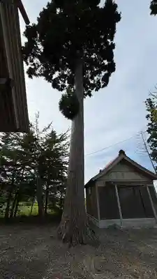 山越諏訪神社(北海道)