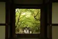 常寂光寺(京都府)
