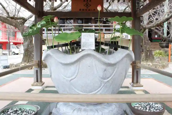 金剛宝寺(紀三井寺)(和歌山県)