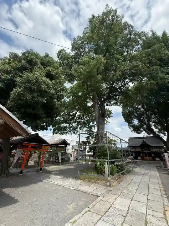 縣神社(京都府)