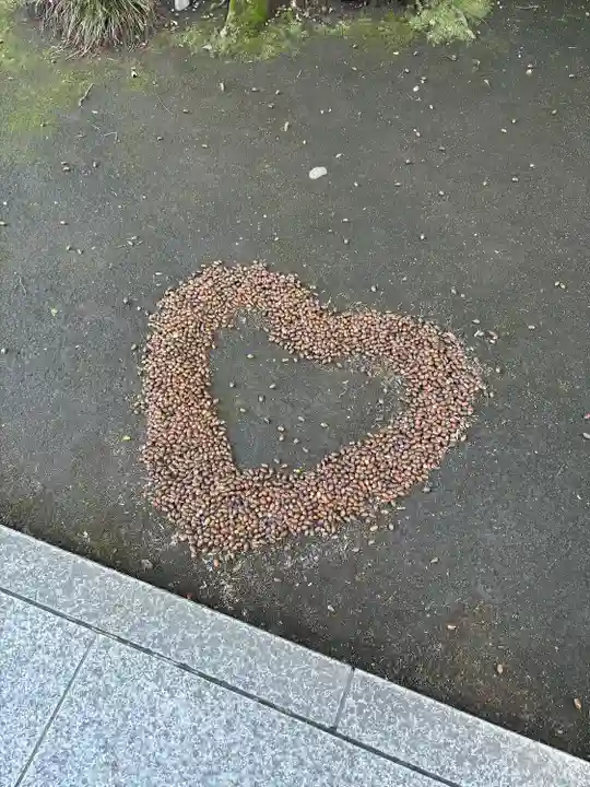 進雄神社(群馬県)