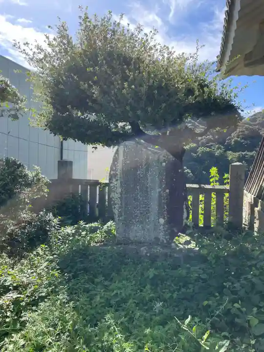 金刀比羅宮(香川県)