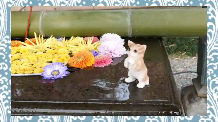 前玉神社(埼玉県)