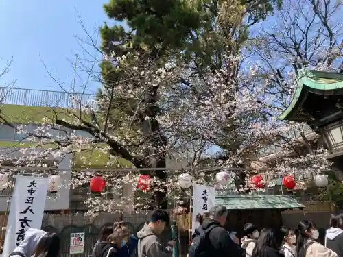 桜神宮の{uncategorized: "未分類", other: "その他", undefined: "問題あり", building: "その他建物", grave: "お墓", sacred_gate: "鳥居", guardian: "狛犬", statue: "像", buddha: "仏像", history: "歴史", nature: "自然", garden: "庭園", animal: "動物", pagoda: "塔", temizu: "手水舎", mountain_gate: "山門・神門", sanctuary: "本殿・本堂", subordinate: "末社・摂社", art: "芸術", scenery: "景色", jizo: "地蔵", ema: "絵馬", goshuin: "御朱印", omikuji: "おみくじ", items: "授与品その他", amulet: "お守り", goshuincho: "御朱印帳", eats: "食事", festival: "お祭り", votive_dance: "神楽", shichigosan: "七五三参", wedding: "結婚式", experience: "体験その他", initially: "初詣", around: "周辺", anti_infection: "感染症対策"}