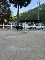 丹生川上神社(下社)(奈良県)