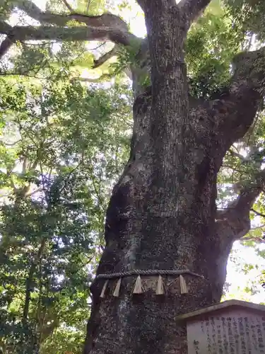 船江上社の自然