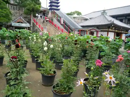 中山寺の庭園