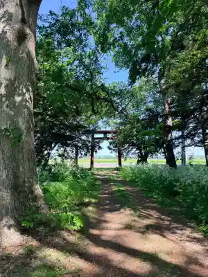 恵庭神社(北海道)