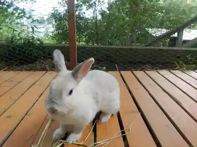 高山神社(群馬県)